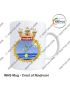 Navy Mug INHS-HOSPITAL  |  Indian Navy  Surface Ship (Hospital Ships)  Souvenir Gift-INHS Navjivani