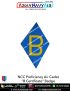 NCC | National Cadet Corps Proficiency Certificate Badges : ArmyNavyAir.com-Air Cadets Proficiency B Certificate Badge