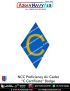 NCC | National Cadet Corps Proficiency Certificate Badges : ArmyNavyAir.com-Air Cadets Proficiency C Certificate Badge