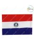 International-National Flag Of Your Country (All - South America Country Flags ) Indoor- Outdoor : Chughs Navyug -Paraguay- H 12