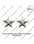 Uniform Shoulder Ranks-Metal Stars ( Plain Chrome-Steel)  With Split Pins for  Security Officers of Central - State Government Departments & Private Security Service Agency  