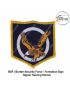 BSF STC Formation Div Sign : ArmyNavyAir.com