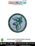 Boy Scout Proficiency Badge BSG : ArmyNavyAir-Stalker