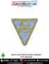 Boy Cub Proficiency Badge BSG : ArmyNavyAir-Toy Maker