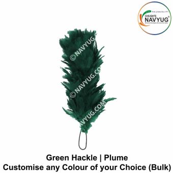 Hackle Green : ArmyNavyAir.com